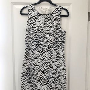 J.Crew business dress